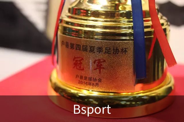 关于Bsport